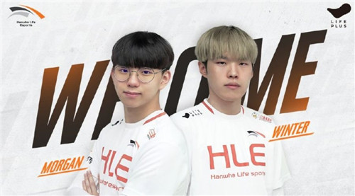 供了更多的 供了更多的