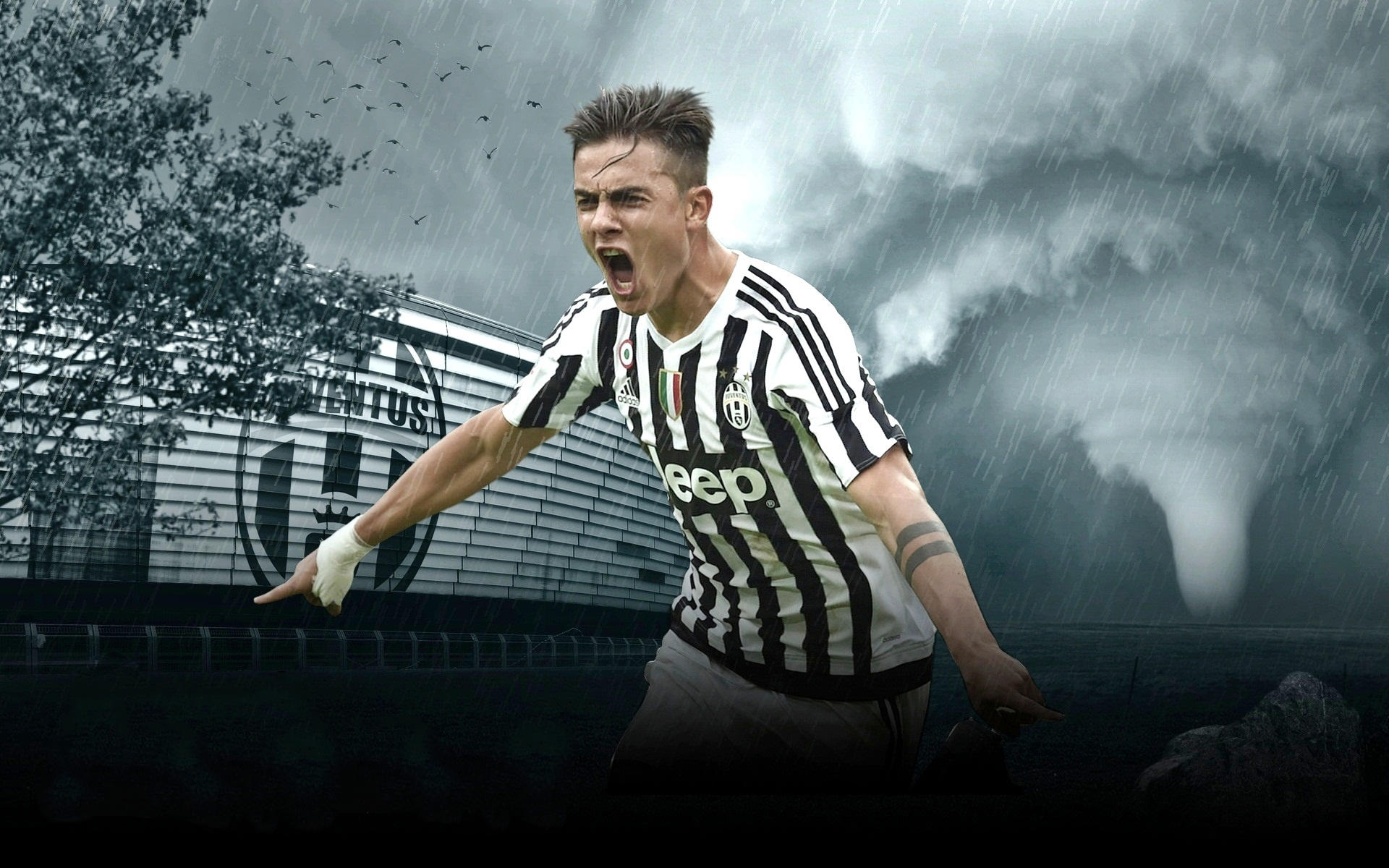 追溯的整改 追溯的整改